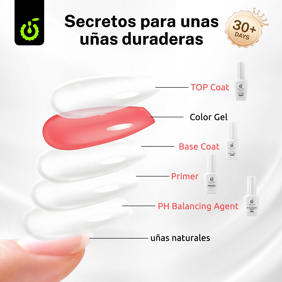 Pack 4 Primer Adherente+Nivelador pH+Base+Top Coat